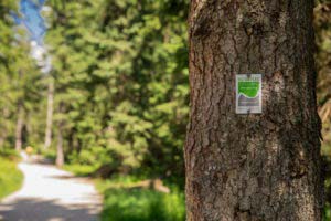 Wandern in Bayern 1 Wanderwege in Bayern