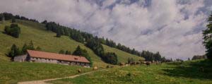 Oberstaufen und Steibis