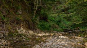 Alpenfreiheit Wanderung in Oberstaufen 17 Alpenfreiheit Wanderung in Oberstaufen 17