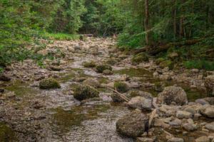 Alpenfreiheit Wanderung in Oberstaufen 18 Alpenfreiheit Wanderung in Oberstaufen 18