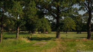 Steinbecker Runde 42 Steinbecker Runde 42