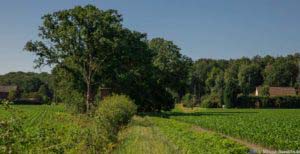 Steinbecker Runde 39 Steinbecker Runde 39