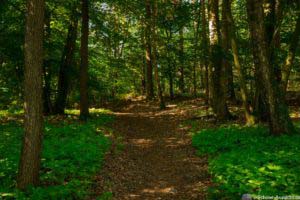 Steinbecker Runde 38 Steinbecker Runde 38