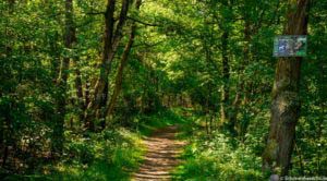 Steinbecker Runde 19 Steinbecker Runde 19