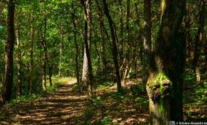 Steinbecker Runde 18 Steinbecker Runde 18