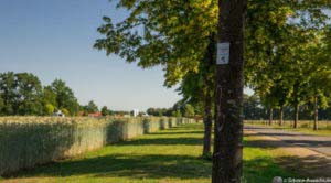 Steinbecker Runde 44 Steinbecker Runde 44