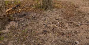 Sloopsteener Seerunde 26 Sloopsteener Seerunde 26