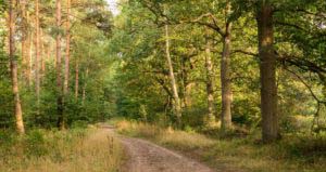 Sloopsteener Seerunde 15 Sloopsteener Seerunde 15