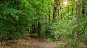 Sloopsteener Seerunde 14 Sloopsteener Seerunde 14