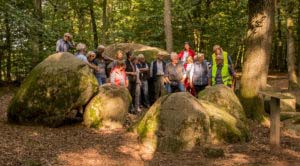 Sloopsteener Seerunde 35 Sloopsteener Seerunde 35