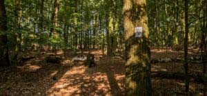 Sloopsteener Seerunde 34 Sloopsteener Seerunde 34