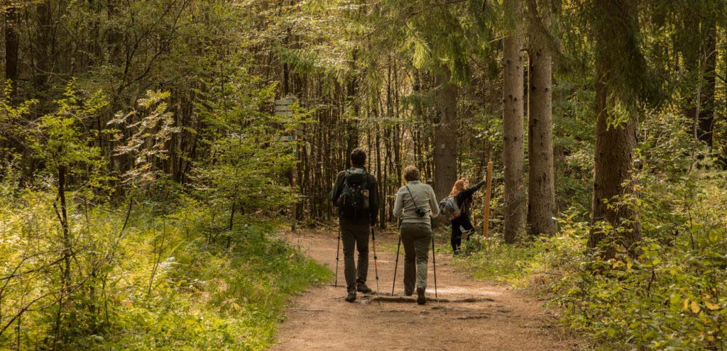 Nordic Walking Stöcke - 20 Tipps