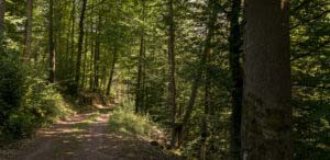 Rumberg-Steig 29 Rumberg-Steig 27