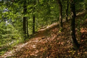 Rumberg-Steig 28 Rumberg-Steig 26