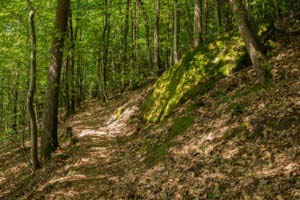 Rumberg-Steig 27 Rumberg-Steig 25