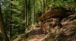 Rumberg-Steig 26 Rumberg-Steig 24