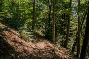 Rumberg-Steig 25 Rumberg-Steig 23