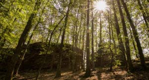 Rumberg-Steig 23 Rumberg-Steig 21