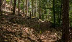 Rumberg-Steig 18 Rumberg-Steig 17