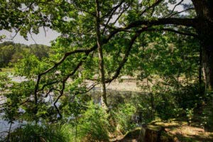 Rumberg-Steig 16 Rumberg-Steig 15