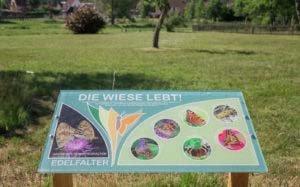 Rumberg-Steig 37 Rumberg-Steig 34