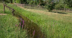 Rumberg-Steig 36 Rumberg-Steig 33