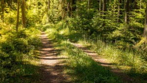 Rumberg-Steig 31 Rumberg-Steig 29