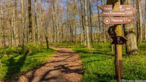 Werra-Burgen-Steig Hessen 104 Werra-Burgen-Steig Hessen 104