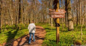 Werra-Burgen-Steig Hessen 105 Werra-Burgen-Steig Hessen 105