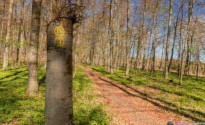 Werra-Burgen-Steig Hessen 106 Werra-Burgen-Steig Hessen 106