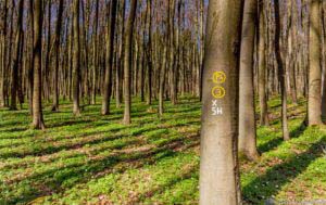 Werra-Burgen-Steig Hessen 109 Werra-Burgen-Steig Hessen 109