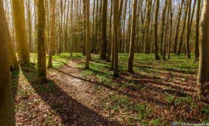 Werra-Burgen-Steig Hessen 110 Werra-Burgen-Steig Hessen 110