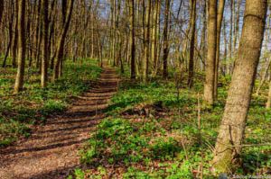 Werra-Burgen-Steig Hessen 111 Werra-Burgen-Steig Hessen 111