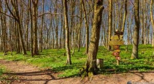 Werra-Burgen-Steig Hessen 115 Werra-Burgen-Steig Hessen 115