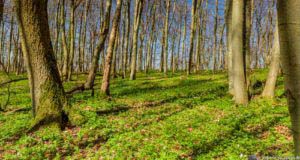 Werra-Burgen-Steig Hessen 116 Werra-Burgen-Steig Hessen 116