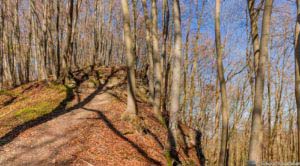 Werra-Burgen-Steig Hessen 117 Werra-Burgen-Steig Hessen 117