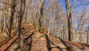 Werra-Burgen-Steig Hessen 118 Werra-Burgen-Steig Hessen 118