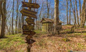 Werra-Burgen-Steig Hessen 120 Werra-Burgen-Steig Hessen 120