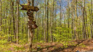 Werra-Burgen-Steig Hessen 121 Werra-Burgen-Steig Hessen 121