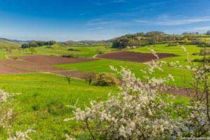 Werra-Burgen-Steig Hessen 124 Werra-Burgen-Steig Hessen 124