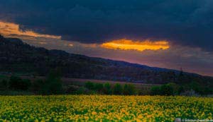 Werra-Burgen-Steig Hessen 19 Werra-Burgen-Steig Hessen 19