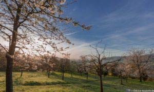 Werra-Burgen-Steig Hessen 32 Werra-Burgen-Steig Hessen 32