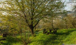 Werra-Burgen-Steig Hessen 37 Werra-Burgen-Steig Hessen 37