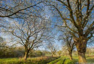Werra-Burgen-Steig Hessen 39 Werra-Burgen-Steig Hessen 39