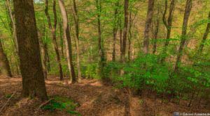 Werra-Burgen-Steig Hessen 46 Werra-Burgen-Steig Hessen 46