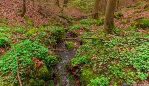 Werra-Burgen-Steig Hessen 47 Werra-Burgen-Steig Hessen 47