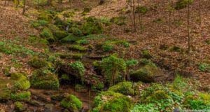 Werra-Burgen-Steig Hessen 49 Werra-Burgen-Steig Hessen 49