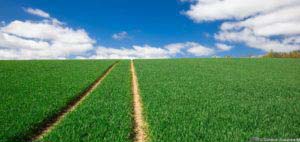 Werra-Burgen-Steig Hessen 52 Werra-Burgen-Steig Hessen 52