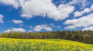 Werra-Burgen-Steig Hessen 53 Werra-Burgen-Steig Hessen 53