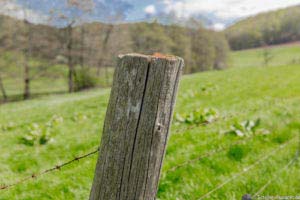 Werra-Burgen-Steig Hessen 59 Werra-Burgen-Steig Hessen 59